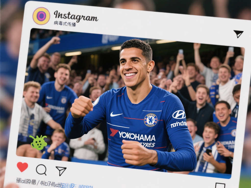 免费下载的 免费下载的