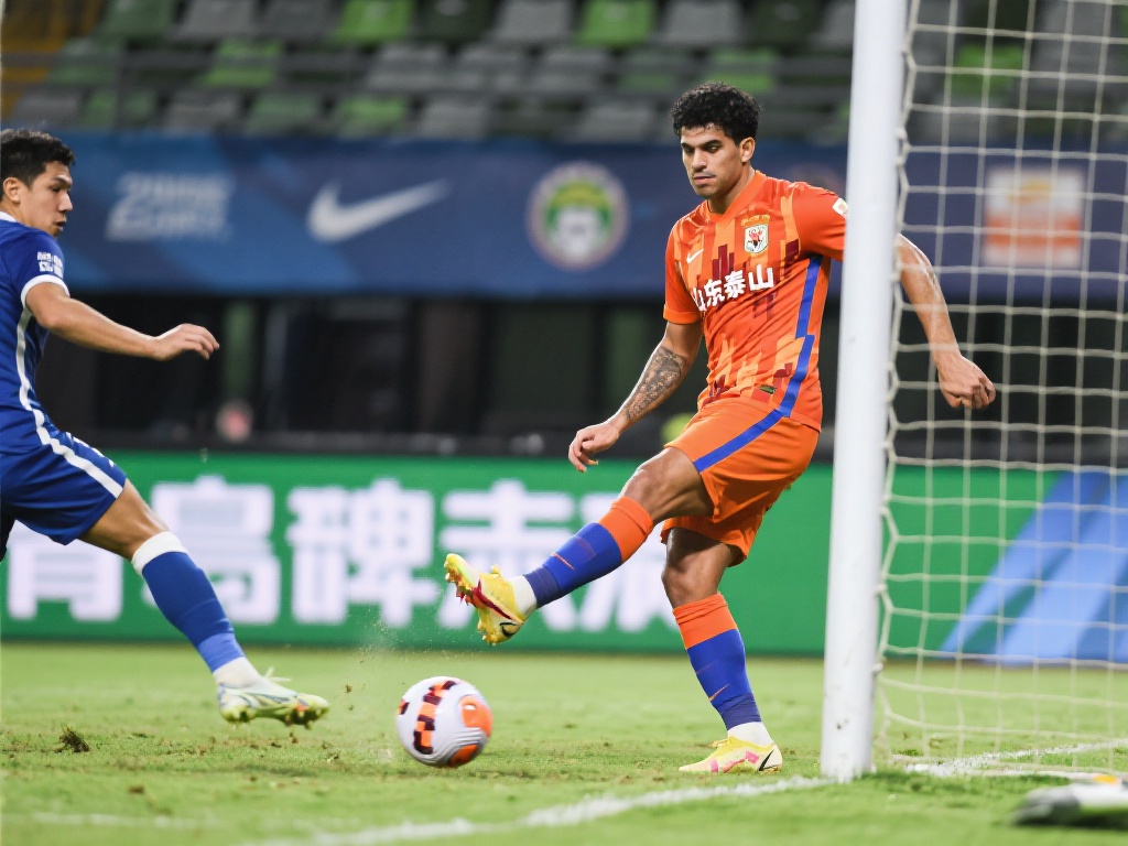 平台内置的 平台内置的